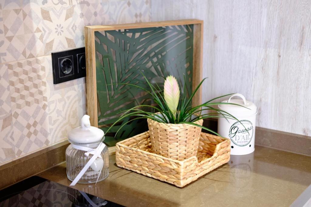 Apartamento Vintage En El Centro De Málaga Eksteriør billede